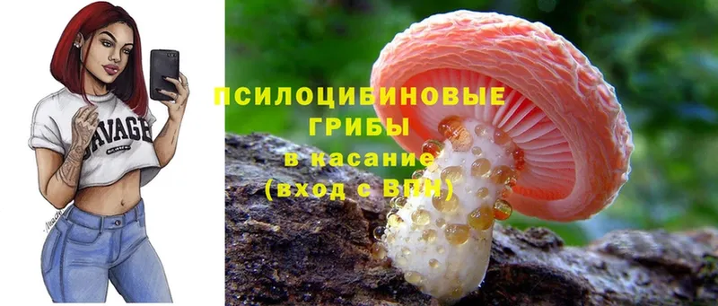 kraken ТОР  Кукмор  Галлюциногенные грибы Magic Shrooms 